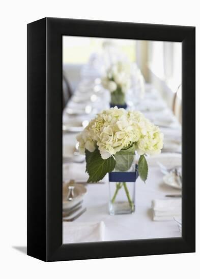 Centerpiece-aastock-Framed Premier Image Canvas