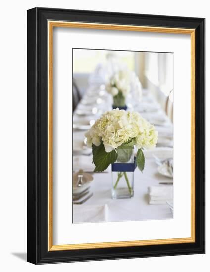 Centerpiece-aastock-Framed Photographic Print