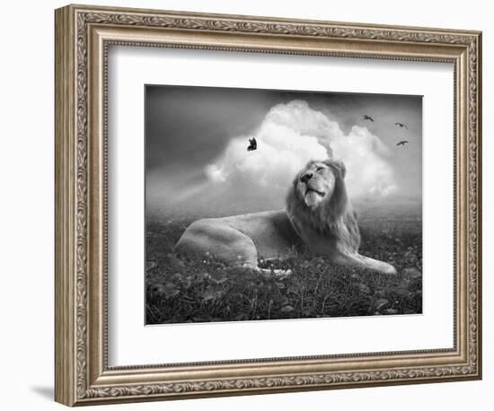 Centinoodle-Lynne Davies-Framed Photographic Print