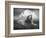 Centinoodle-Lynne Davies-Framed Photographic Print