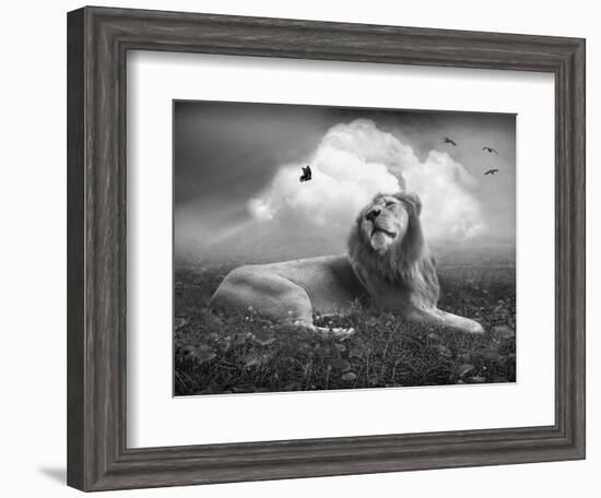 Centinoodle-Lynne Davies-Framed Photographic Print