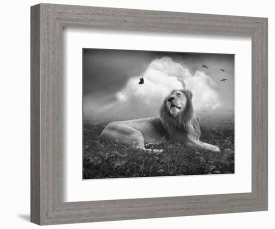 Centinoodle-Lynne Davies-Framed Photographic Print