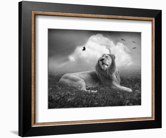 Centinoodle-Lynne Davies-Framed Photographic Print