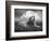 Centinoodle-Lynne Davies-Framed Photographic Print