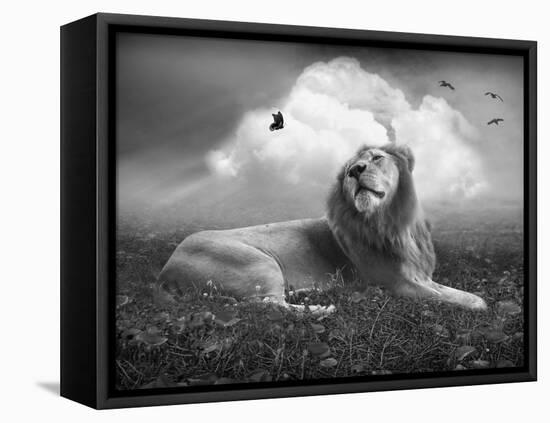 Centinoodle-Lynne Davies-Framed Premier Image Canvas