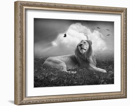 Centinoodle-Lynne Davies-Framed Photographic Print