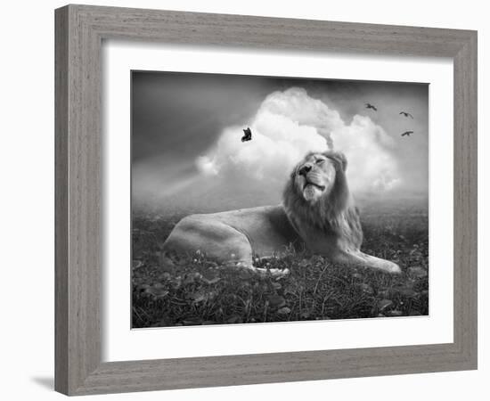 Centinoodle-Lynne Davies-Framed Photographic Print