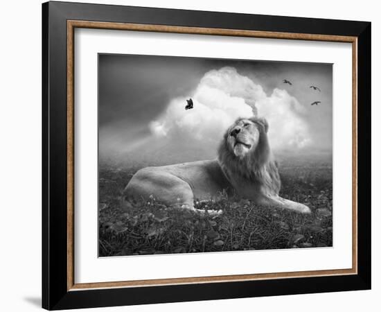 Centinoodle-Lynne Davies-Framed Photographic Print