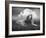 Centinoodle-Lynne Davies-Framed Photographic Print