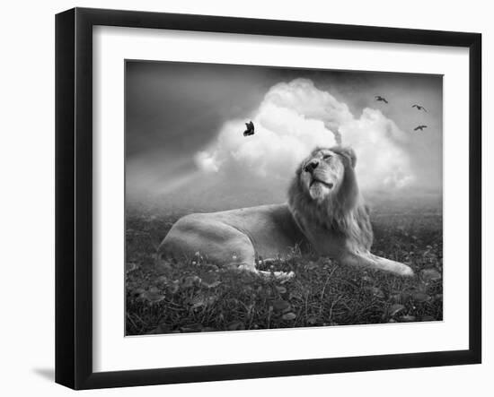 Centinoodle-Lynne Davies-Framed Photographic Print