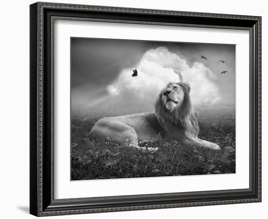 Centinoodle-Lynne Davies-Framed Photographic Print