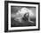 Centinoodle-Lynne Davies-Framed Photographic Print