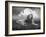 Centinoodle-Lynne Davies-Framed Photographic Print