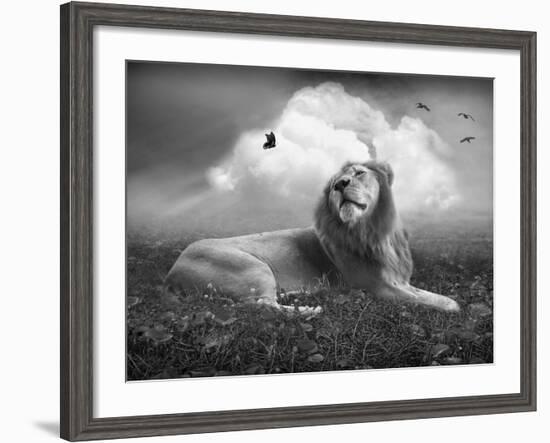 Centinoodle-Lynne Davies-Framed Photographic Print