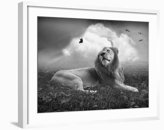 Centinoodle-Lynne Davies-Framed Photographic Print