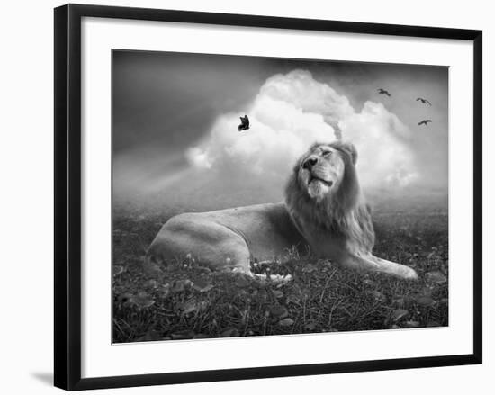 Centinoodle-Lynne Davies-Framed Photographic Print