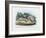 Centipede, 1863-79-Raimundo Petraroja-Framed Giclee Print