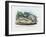 Centipede, 1863-79-Raimundo Petraroja-Framed Giclee Print