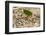 Central America, Costa Rica, Monteverde Cloud Forest Biological Reserve-Jaynes Gallery-Framed Photographic Print