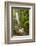 Central America, Costa Rica. Templo Waterfall in Rain Forest-Jaynes Gallery-Framed Photographic Print