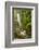 Central America, Costa Rica. Templo Waterfall in Rain Forest-Jaynes Gallery-Framed Photographic Print