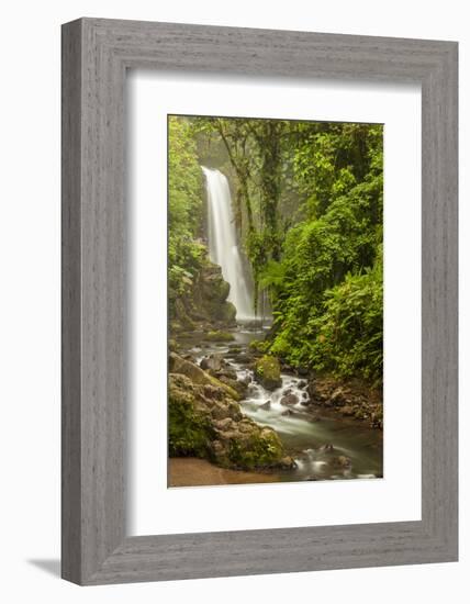 Central America, Costa Rica. Templo Waterfall in Rain Forest-Jaynes Gallery-Framed Photographic Print