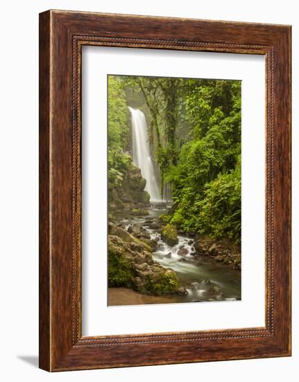 Central America, Costa Rica. Templo Waterfall in Rain Forest-Jaynes Gallery-Framed Photographic Print