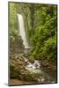 Central America, Costa Rica. Templo Waterfall in Rain Forest-Jaynes Gallery-Mounted Photographic Print