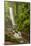 Central America, Costa Rica. Templo Waterfall in Rain Forest-Jaynes Gallery-Mounted Photographic Print