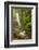 Central America, Costa Rica. Templo Waterfall in Rain Forest-Jaynes Gallery-Framed Photographic Print