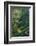 Central America, Costa Rica-Alex Robinson-Framed Photographic Print