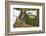 Central American Spider Monkey (Ateles Geoffroyi) Orphan Baby Hanging from Washing Line-Claudio Contreras-Framed Photographic Print