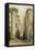 Central Avenue of the Great Hall of Columns-David Roberts-Framed Premier Image Canvas