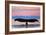 Central Coast California - Humpback Fluke and Sunset-Lantern Press-Framed Art Print