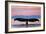 Central Coast California - Humpback Fluke and Sunset-Lantern Press-Framed Art Print