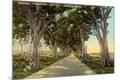 Premium Giclee Print