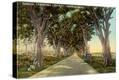 Stretched Canvas Print