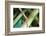 Central Junction-Dana Styber-Framed Photographic Print