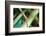 Central Junction-Dana Styber-Framed Photographic Print