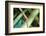 Central Junction-Dana Styber-Framed Photographic Print