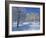 Central Naval Museum in a Snowy Winter Landscape in St. Petersburg, Russia, Europe-Christina Gascoigne-Framed Photographic Print