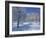 Central Naval Museum in a Snowy Winter Landscape in St. Petersburg, Russia, Europe-Christina Gascoigne-Framed Photographic Print