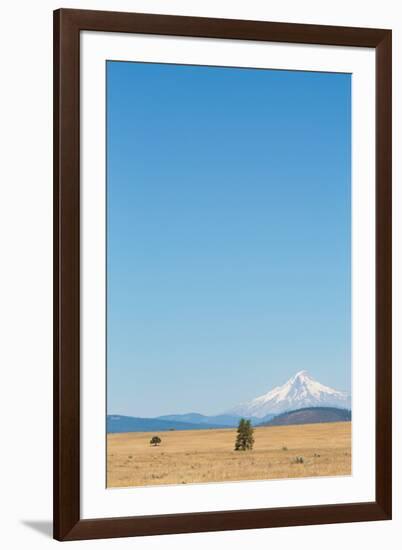 Central Oregon's High Desert with Mount Hood, part of the Cascade Range, Pacific Northwest region, -Martin Child-Framed Photographic Print