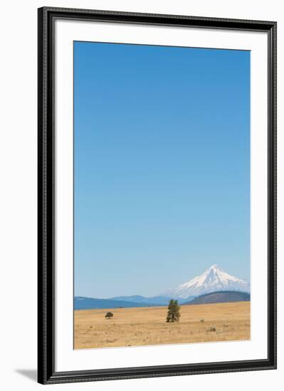 Central Oregon's High Desert with Mount Hood, part of the Cascade Range, Pacific Northwest region, -Martin Child-Framed Photographic Print