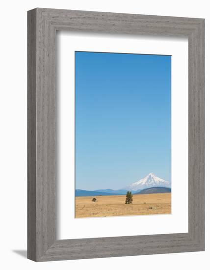 Central Oregon's High Desert with Mount Hood, part of the Cascade Range, Pacific Northwest region, -Martin Child-Framed Photographic Print