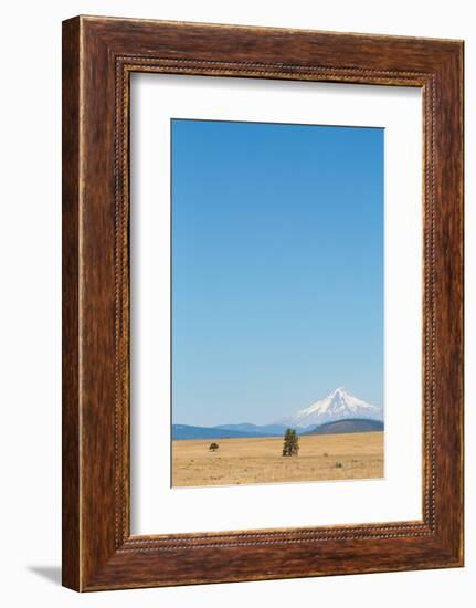 Central Oregon's High Desert with Mount Hood, part of the Cascade Range, Pacific Northwest region, -Martin Child-Framed Photographic Print