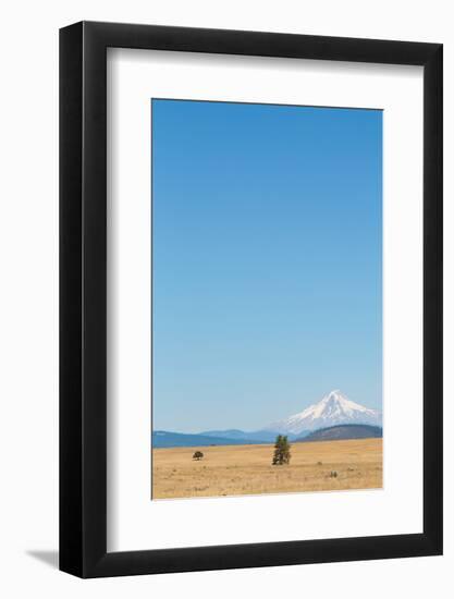 Central Oregon's High Desert with Mount Hood, part of the Cascade Range, Pacific Northwest region, -Martin Child-Framed Photographic Print