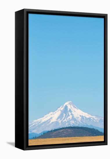 Central Oregon's High Desert with Mount Hood, part of the Cascade Range, Pacific Northwest region, -Martin Child-Framed Premier Image Canvas