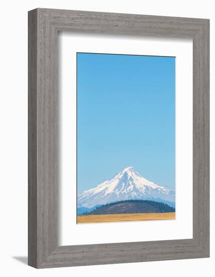 Central Oregon's High Desert with Mount Hood, part of the Cascade Range, Pacific Northwest region, -Martin Child-Framed Photographic Print