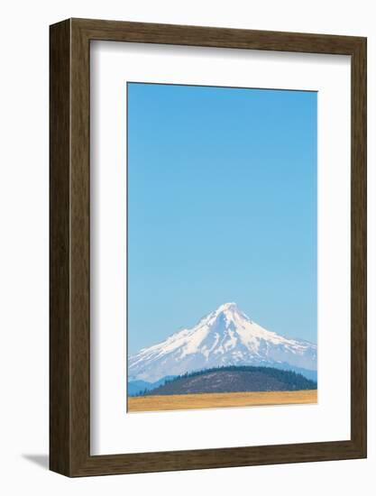 Central Oregon's High Desert with Mount Hood, part of the Cascade Range, Pacific Northwest region, -Martin Child-Framed Photographic Print